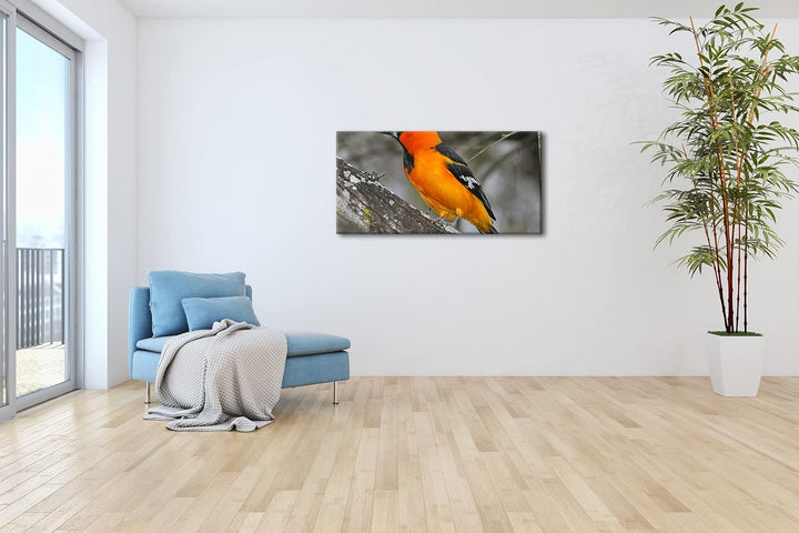 Anmutiger Vogel Panorama 120x60 cm als Leinwandbild, Motiv fertig gerahmt auf Echtholzrahmen, Hochwe