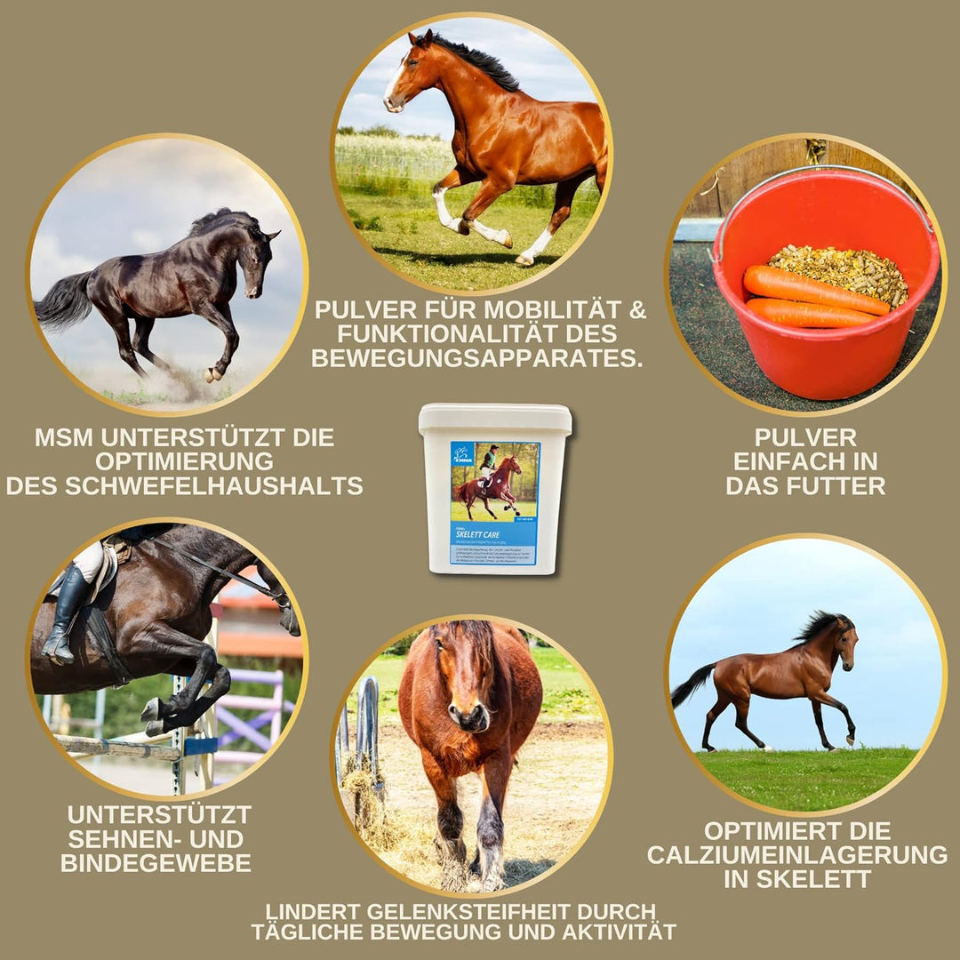 MSM Pulver I Gelenk Pulver für Pferde plus MSM Pferd - Knochen-Gelenk-Komplex mit Calcium Vitamin D