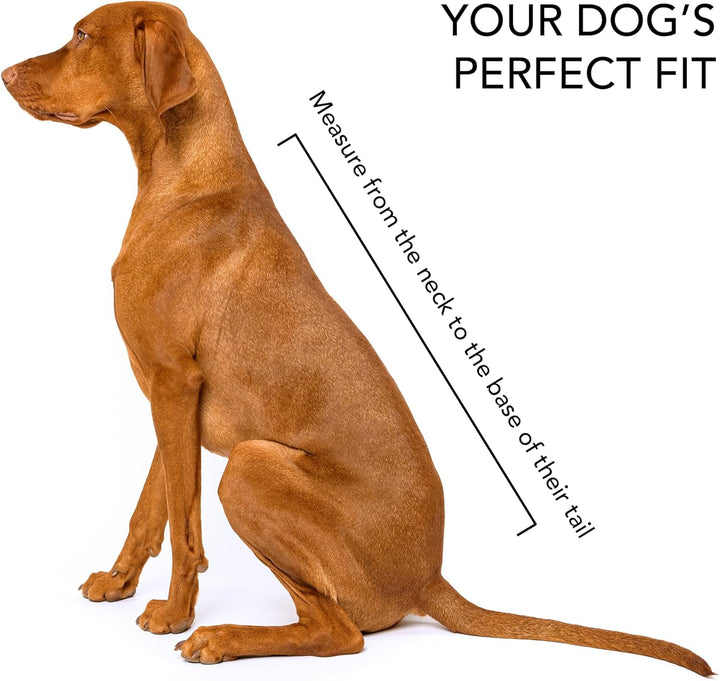 Outhwaite Hundemantel Dackel, gepolstert, 28 cm, Braun 43 cm, 43 cm