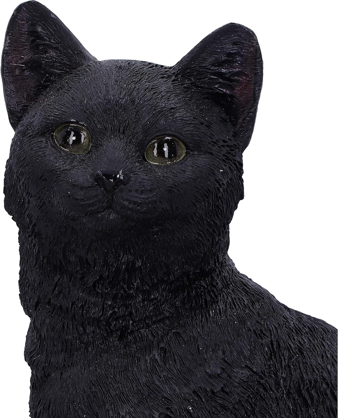 Nemesis Now Familiar Fate Dekofigur Hexen, Katze und Totenkopf, 24,3 cm