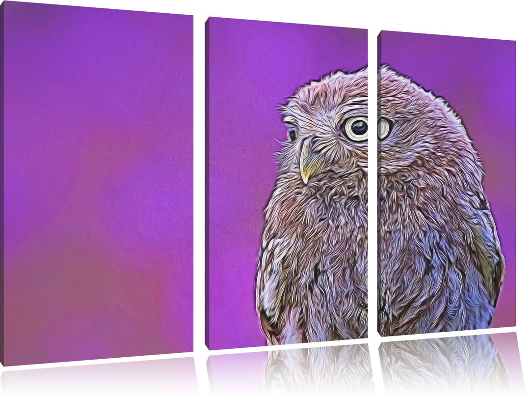schöne junge Eule NewArt 3-Teiler Leinwandbild 120x80 Bild auf Leinwand, XXL riesige Bilder fertig g