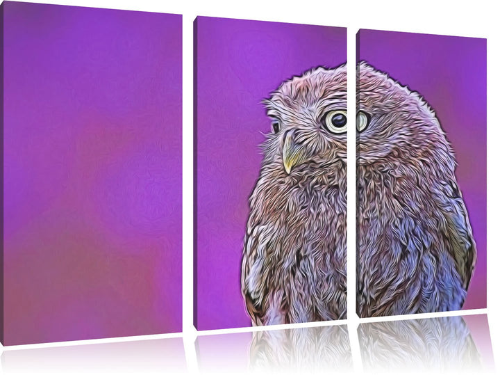 schöne junge Eule NewArt 3-Teiler Leinwandbild 120x80 Bild auf Leinwand, XXL riesige Bilder fertig g