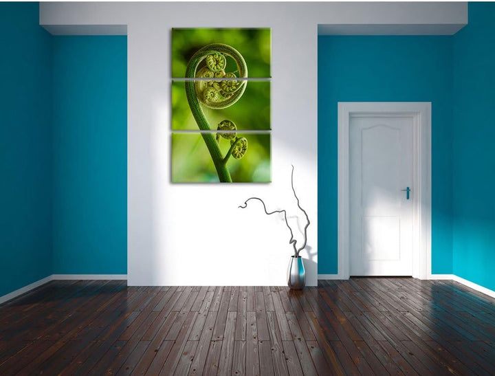 Pixxprint Blatt von Einer Farne im Wald als Leinwandbild - Grösse: 3-Teilig (120x80cm) - Wandbild -