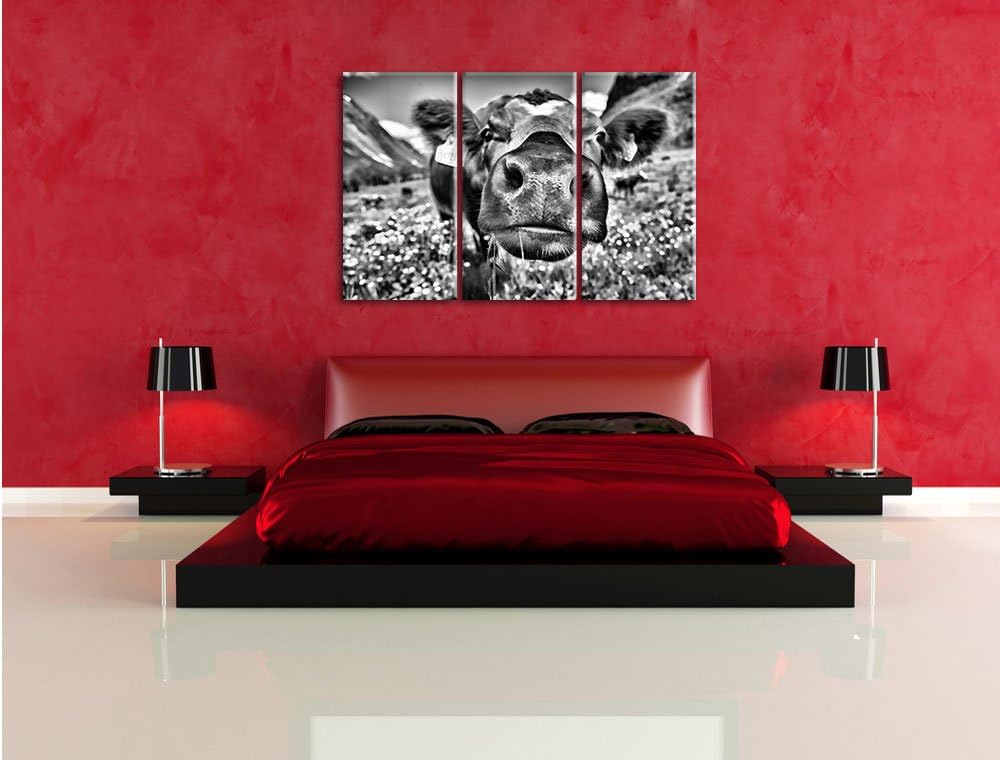 Pixxprint Monocrome, Süsse Alpen Kuh auf Bergwiese 3-Teiler Leinwandbild 120x80 Bild auf Leinwand