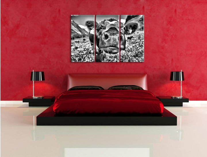 Pixxprint Monocrome, Süsse Alpen Kuh auf Bergwiese 3-Teiler Leinwandbild 120x80 Bild auf Leinwand
