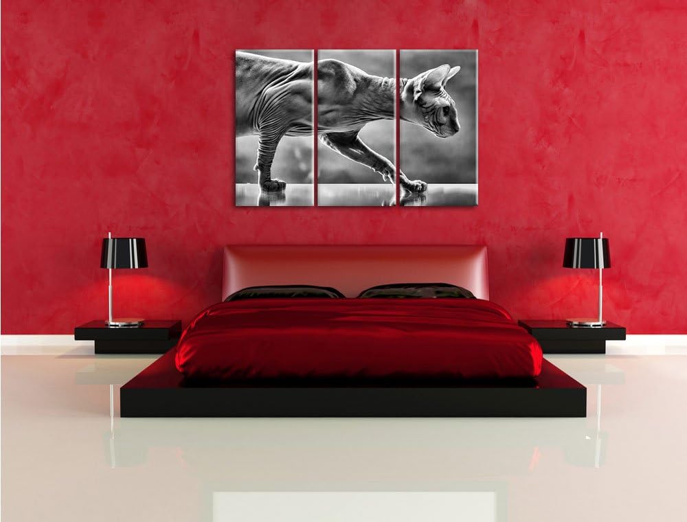 Pixxprint Einzigartige Sphynx Katze als Leinwandbild/Grösse: 3 Teilig (120x80) cm/Wandbild/Kunstdruc
