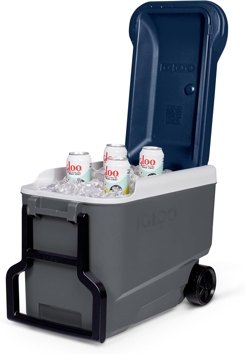 Igloo Maxcold 40 Roller Passiv-Kühlbox mit Rollen, 38 Liter, Blau, für Camping, Arbeit, Freizeit und