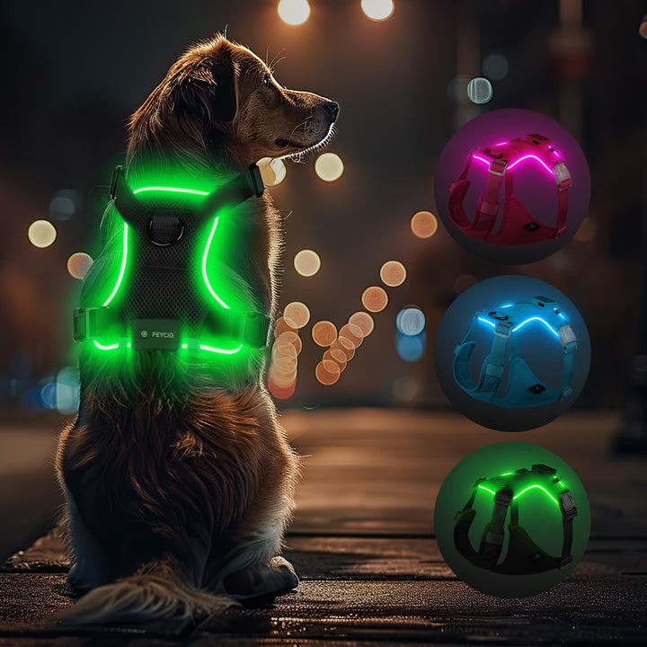 Light Up Dog Hundegeschirr Leuchtend LED Aufladbar - Leuchtgeschirr Leuchtend für Klein Mittelgrosse