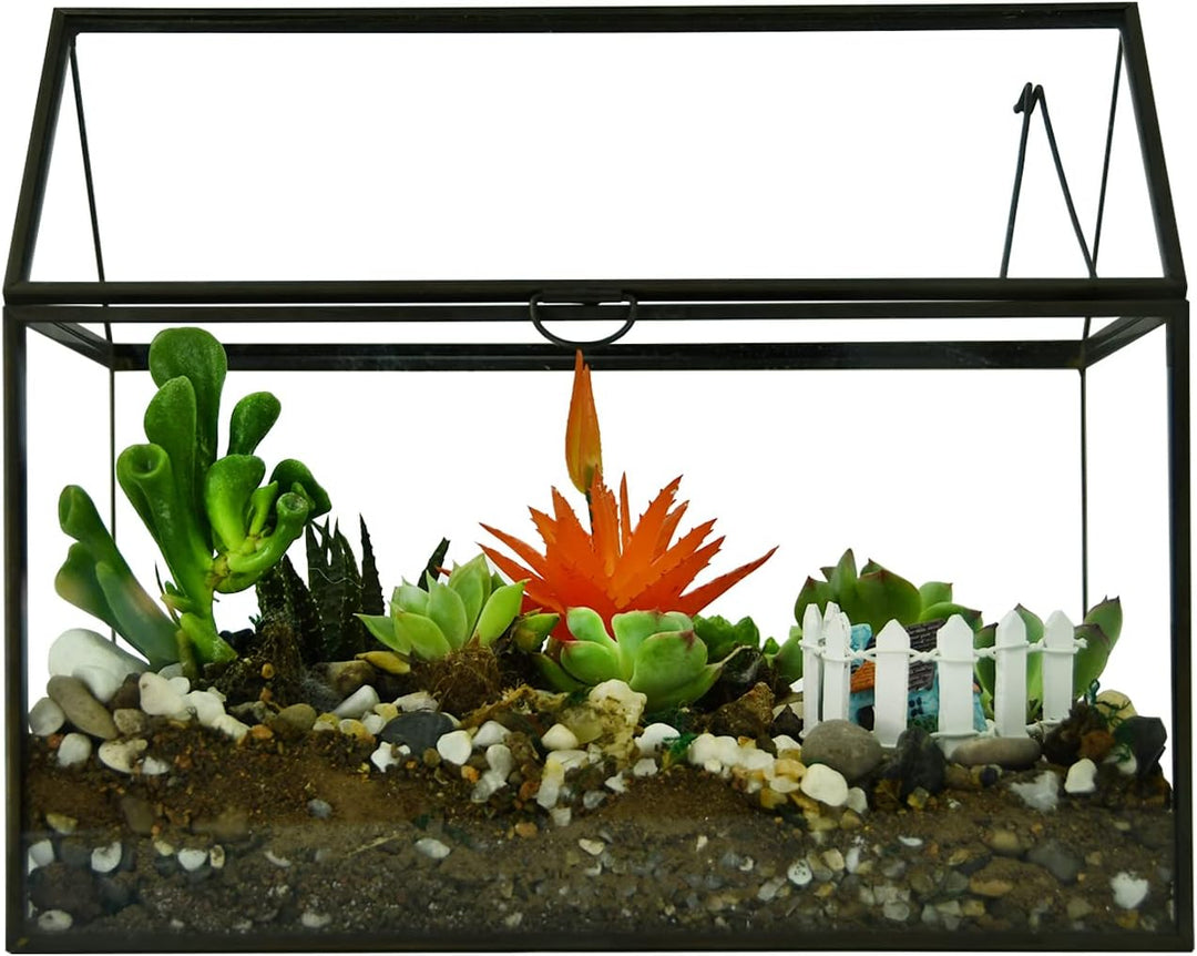 Grosses Glas Pflanze Terrarium - Haus Sukkulenten Glas Terrarium Kit mit Lippe Glas Gewächshaus Terr