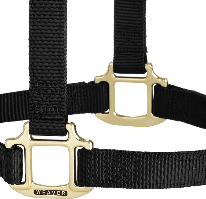 WEAVER Leather, Nicht verstellbares Halfter Schwarz Small Horse, Schwarz Small Horse