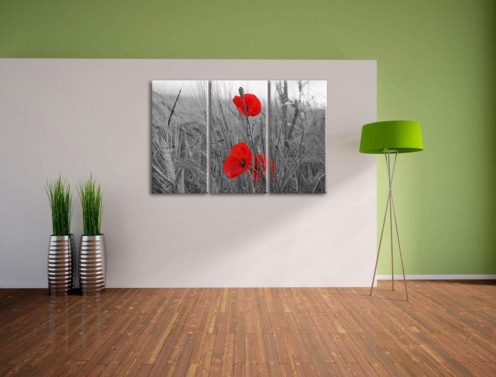 einzelne Mohnblumen im Getreidefeld schwarz/weiss 3-Teiler Leinwandbild 120x80 Bild auf Leinwand, XX