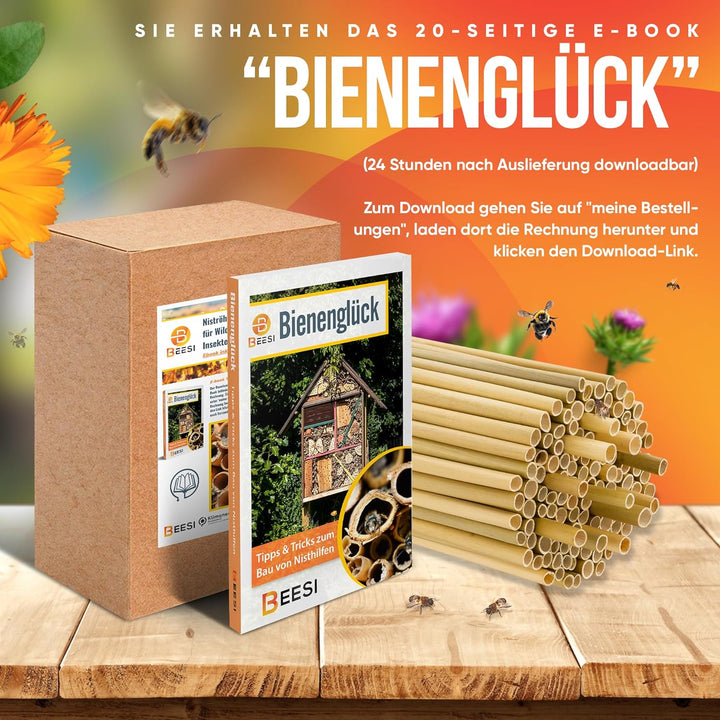 BEESI 500x Bambusgras für Insektenhotel I 14 cm Länge I 3-7mm ⌀ I Füllmaterial Bienenhotel, Wildbien