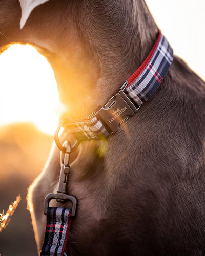 FREUDENTIER® Hundehalsband und 3-Fach verstellbare Führleine (2m) im Set - Edinburgh Kollektion - Ro