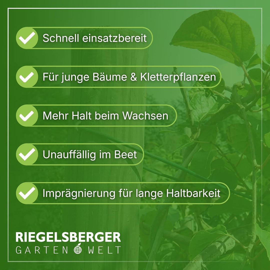 Gartenwelt Riegelsberger Pfahl Ø 4,6 cm Länge 150 cm 5 Stück Holzpfahl Kiefer imprägniert Kiefernhol