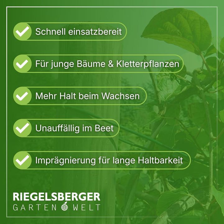 Gartenwelt Riegelsberger Pfahl Ø 4,6 cm Länge 150 cm 5 Stück Holzpfahl Kiefer imprägniert Kiefernhol