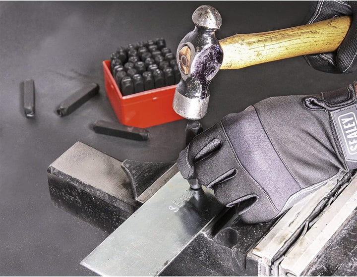 SEALEY ak8298 Buchstabe & Anzahl Punch Set Stanzen 10 mm 10 mm Rot, 10 mm Rot