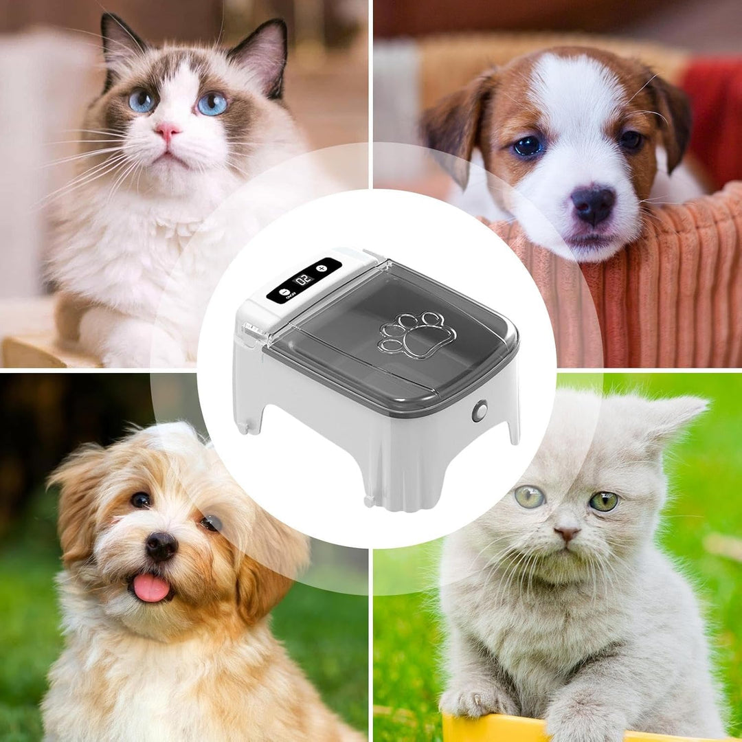 Automatischer Katzen-Futterspender für Nassfutter, automatischer Haustierspender, Sensor, zeitgesteu