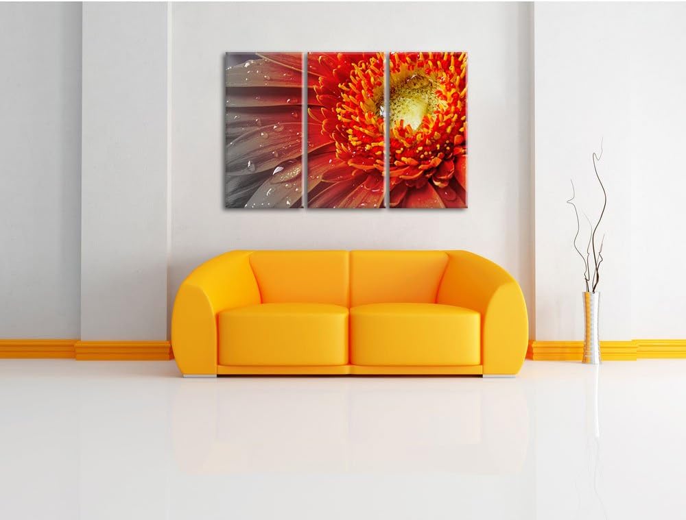 Pixxprint Gerbera mit Wassertropfen als Leinwandbild/Grösse: 3 Teilig (120x80 cm) cm/Wandbild/Kunstd