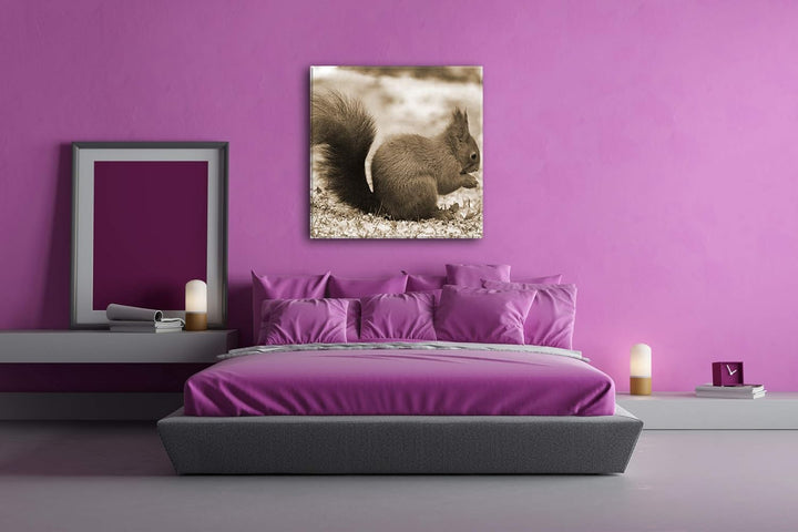 deyoli kleines Eichhörnischen Format: 60x60 Effekt: Sepia als Leinwandbild, Motiv fertig gerahmt auf