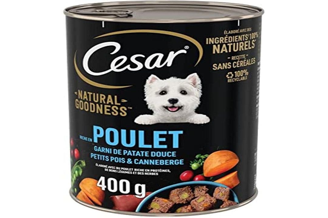 CESAR Natural Goodness – 6 Dosen à 400 g – Terrine für ausgewachsene Hunde, reich an Huhn, gefüllt m