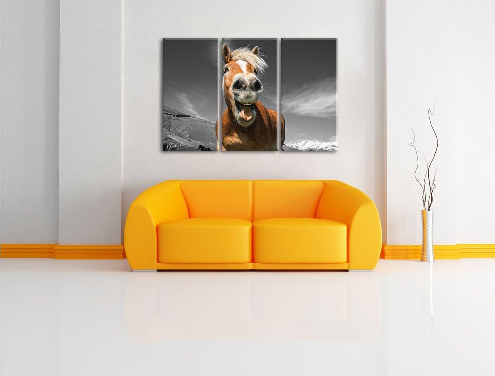 Pixxprint Lustiges Pferd in der Natur B&W Detail 3-Teiler Leinwandbild 120x80 Bild auf Leinwand