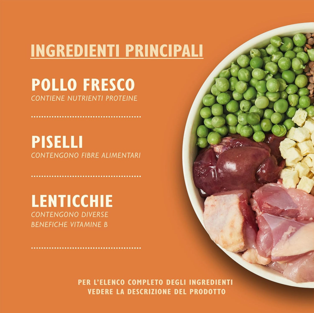 Lily's Kitchen natürliches Trockenfutter für ausgewachsene Hunde Huhn und Ente Getreidefreies Rezept