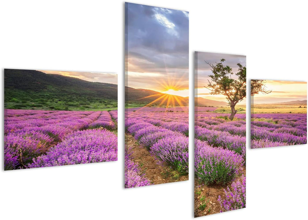 islandburner Bild Bilder auf Leinwand atemberaubende Landschaft mit Lavendelfeld bei Sonnenaufgang W