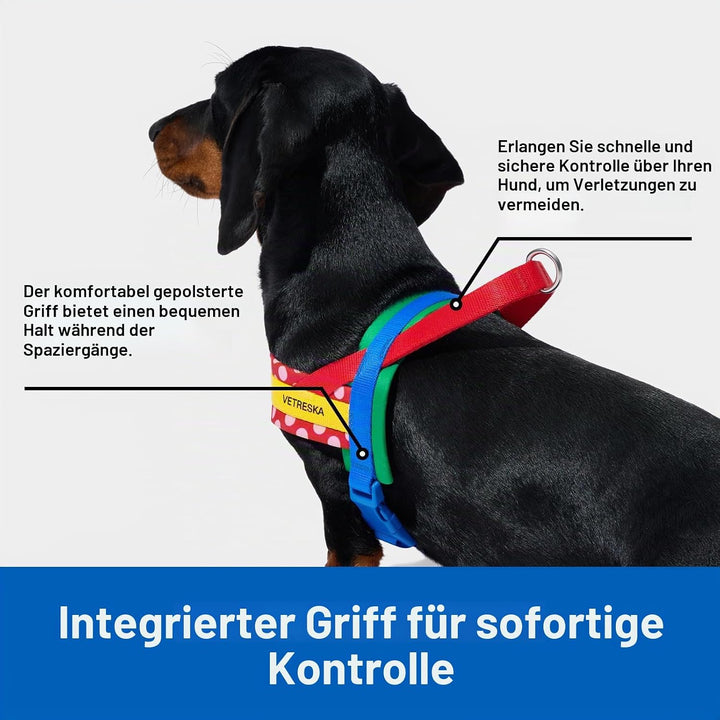VETRESKA MoMA Hundegeschirr und Leine, Easy Walk Hundegeschirr für grosse Hunde, kein Ziehen, Welpen