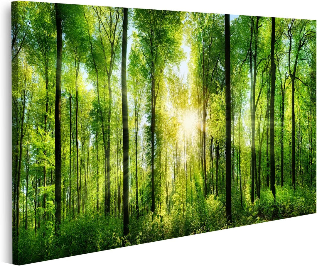 islandburner Bild auf Leinwand Malerischer Wald Grüne Laubbäume Bilder Wandbilder Poster Leinwand 10