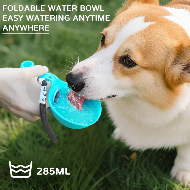 Trinkflasche Hunde Für Unterwegs, 285ml Edelstahl Hundetrinkflasche Für Unterwegs, Tragbare Auslaufs