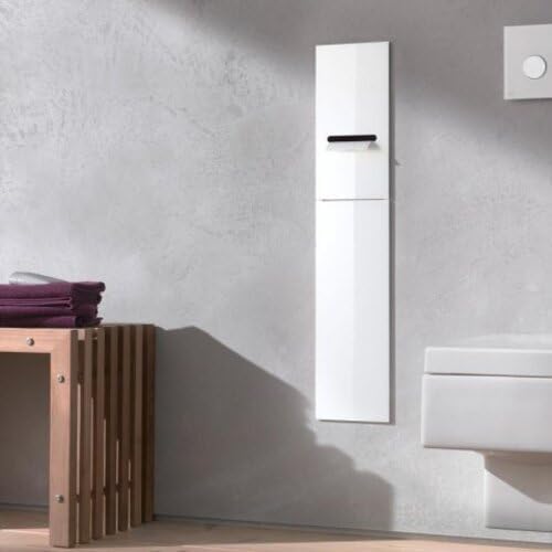 emco ASIS 2.0 Unterputz-Schrankmodul für die Klobürstengarnitur, Badezimmerschrank mit Toilettenpapi