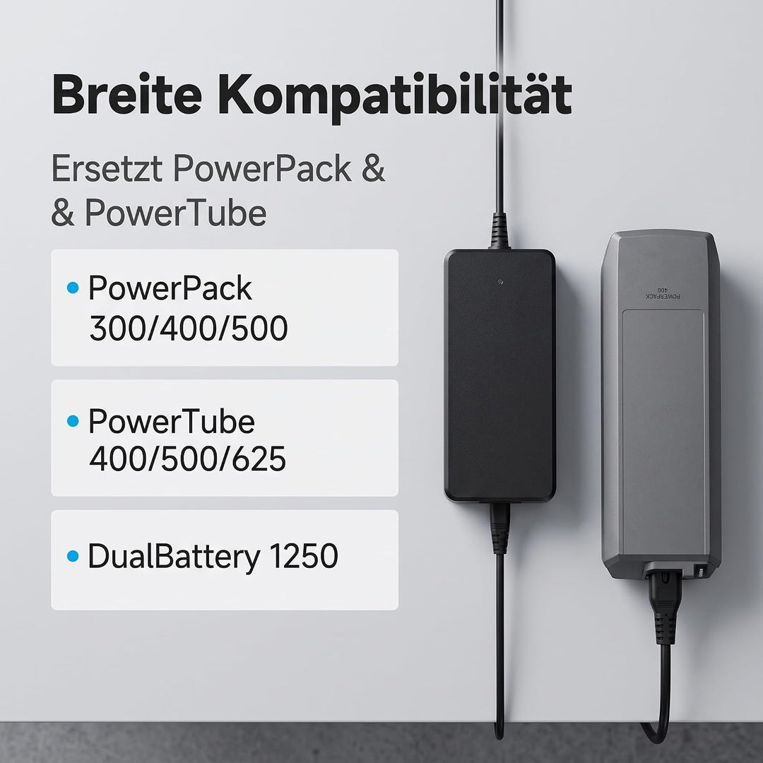 42V 4A Elektrowerkzeugladegerät für Bosch Performance und Active Line 36V4A