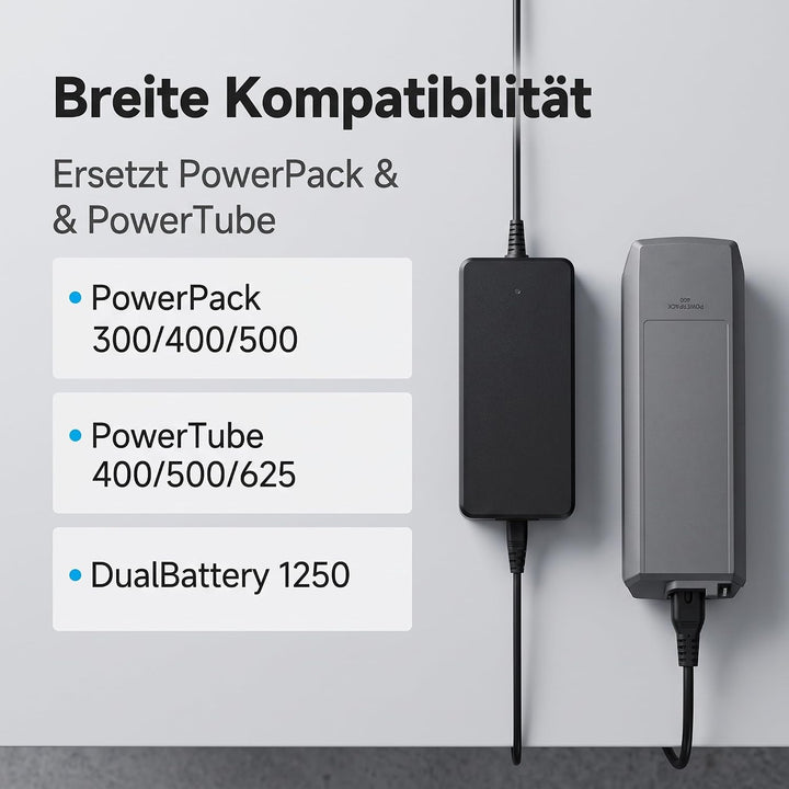 42V 4A Elektrowerkzeugladegerät für Bosch Performance und Active Line 36V4A