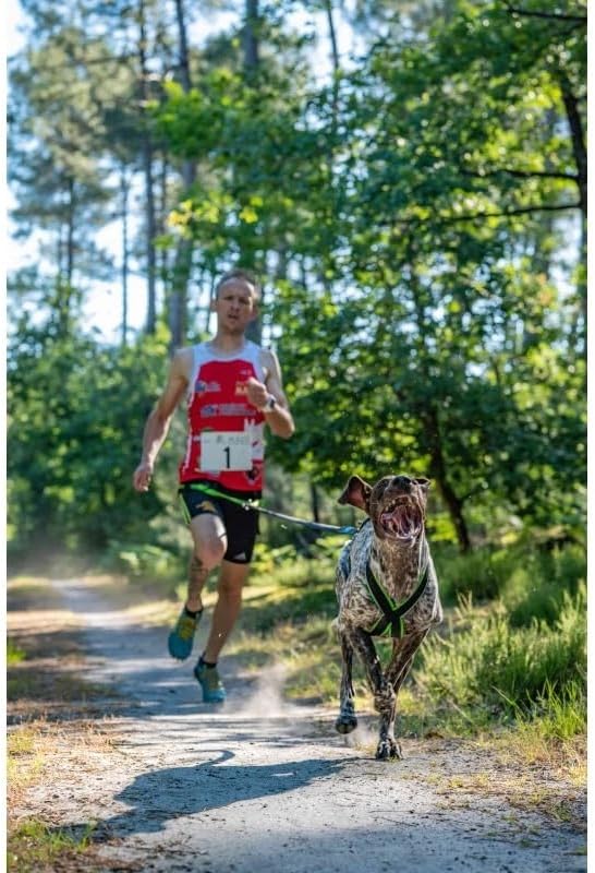 Vielseitiges Hundegeschirr Inlandsis Polar Quest X-Back – leicht, ergonomisch und robust – Canicross