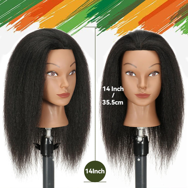 Mannequinkopf mit menschlichem Haar 14'' Kosmetologie Mannequinkopf mit 100% echtem menschlichem Haa