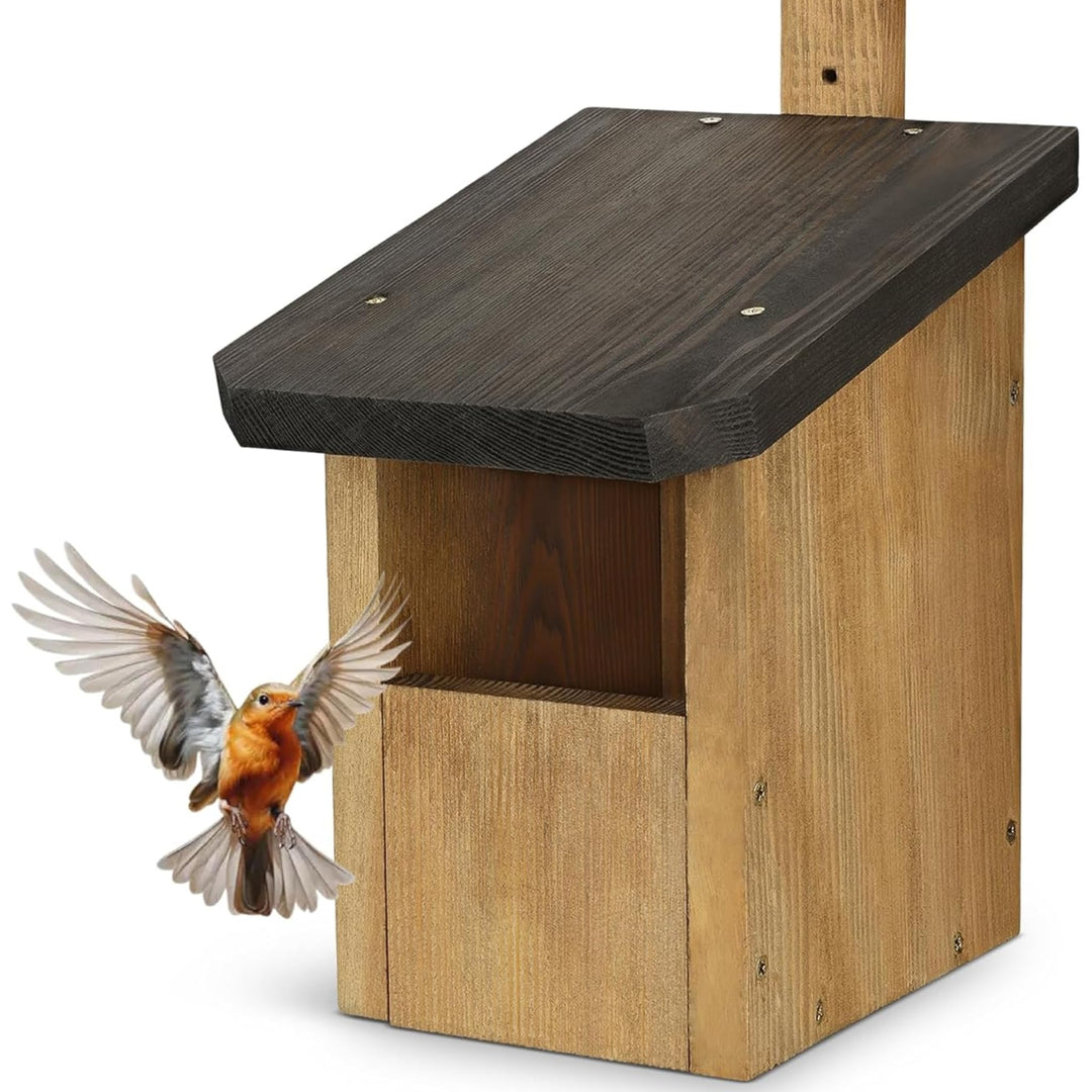 Halbhöhle Nistkasten für Rotkehlchen &amp; Co. | Wetterfest &amp; Massives Holz | Vogelhaus für Nischenbrüte