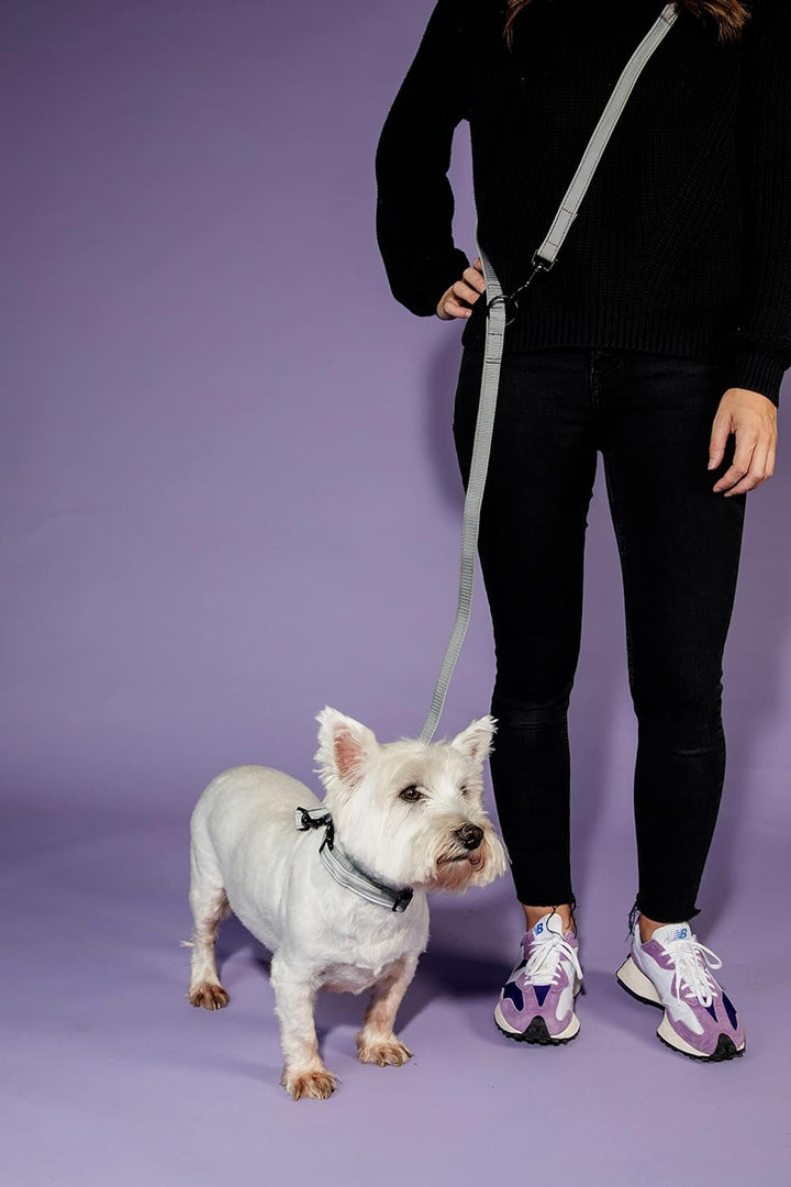 Kentucky Dogwear Hundehalsband reflektierend, Grösse:XS, Farbe:grau XS grau, XS grau