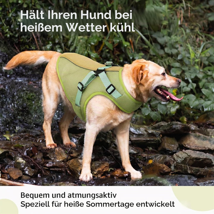 Kühlweste Hund mit Geschirr, Hundekühlweste für kleine Hunde, Atmungsaktive Kühljacke mit Verdunstun