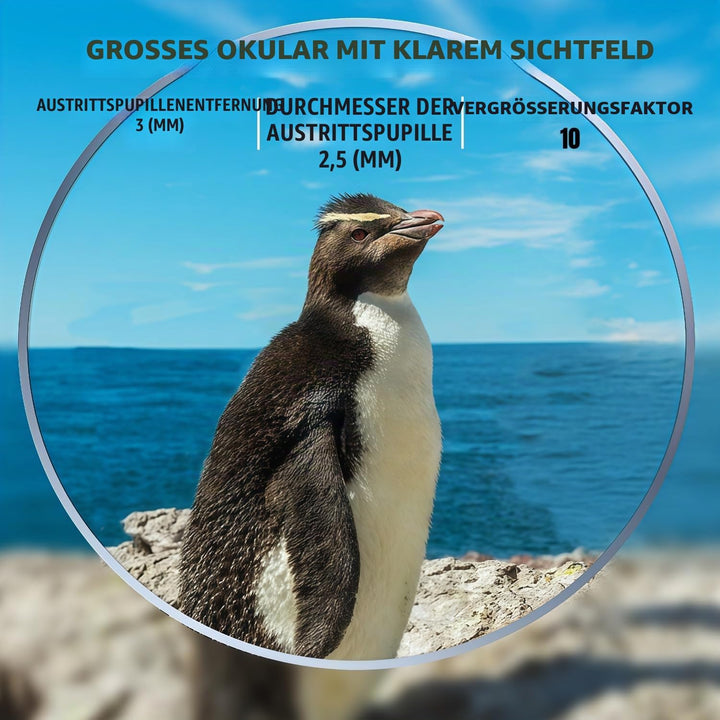 10x25 Kompaktes Fernglas,Faltbares Ferngla,Fernglas für Erwachsene und Kinder,Grosses Okular Einfach