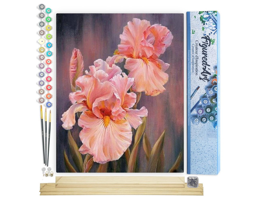 Figured'Art Malen Nach Zahlen Erwachsene Mit Rahmen Iris Blumen - Paint by Numbers Basteln DIY Baste