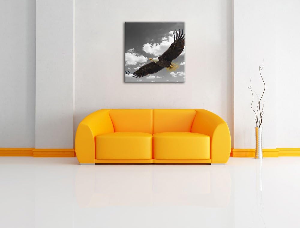 Pixxprint Weisskopfseeadler beim fliegen als Leinwandbild/Grösse: 70x70 cm/Wandbild/Kunstdruck/ferti