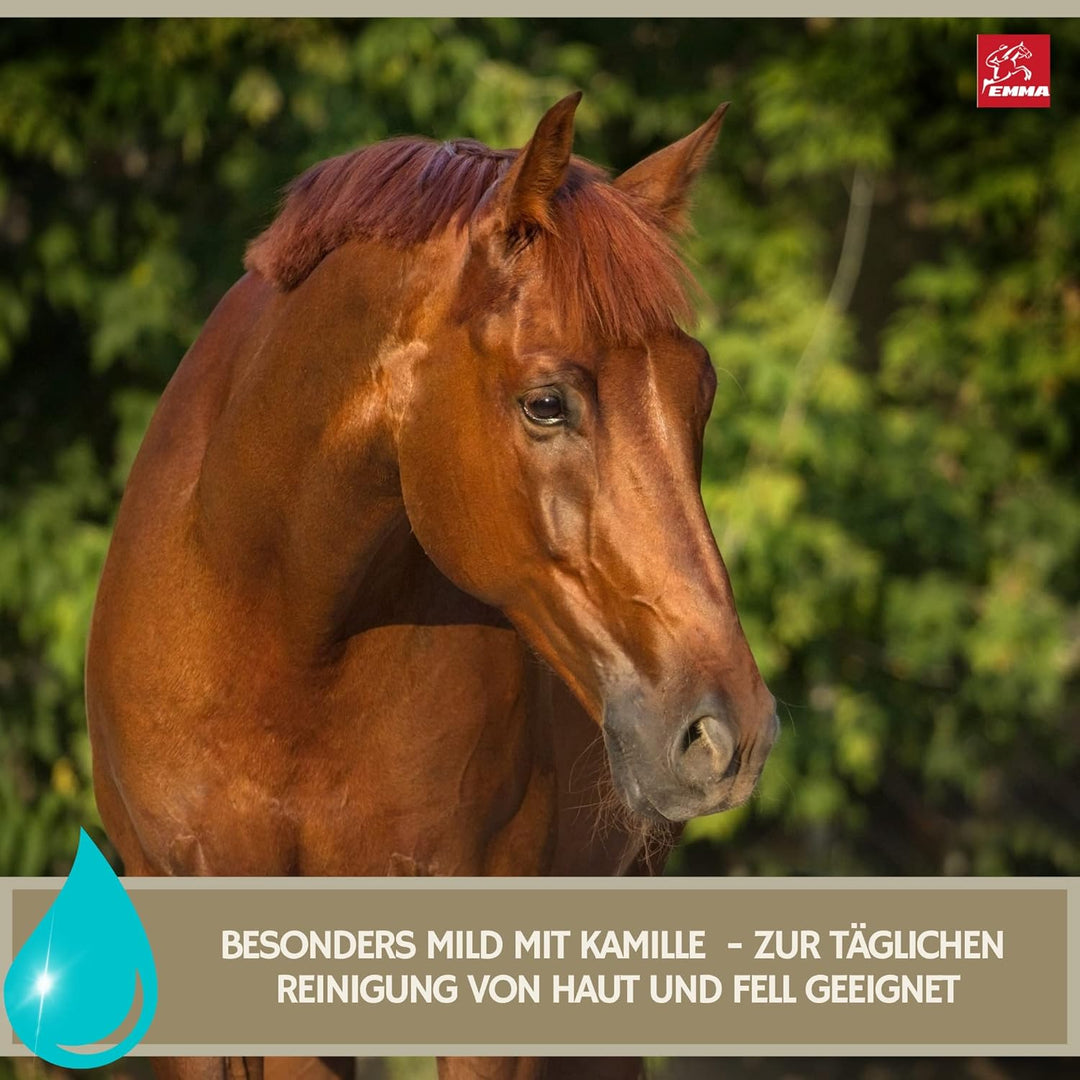 Shampoo für Hunde Pferde Kanister I Hundeshampoo Pferdeshampoo mit Kamille mildes Pferde Shampoo ph