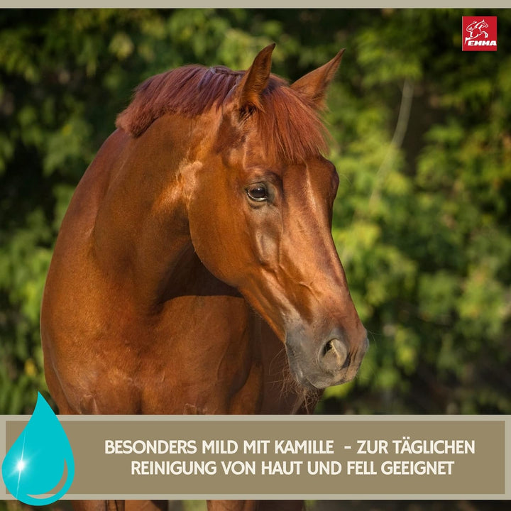 Shampoo für Hunde Pferde Kanister I Hundeshampoo Pferdeshampoo mit Kamille mildes Pferde Shampoo ph