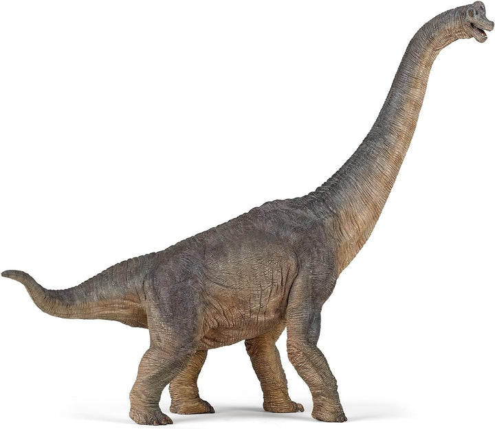 PAPO 55030 Dinosaurier, Brachiosaurus Figur, Mehrfarben Brachiosaurus die Dinosaurier Figur, Mehrfar
