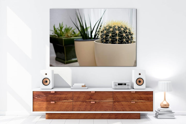 deyoli hausliche Pflanzen Format: 80x60 als Leinwandbild, Motiv fertig gerahmt auf Echtholzrahmen, H