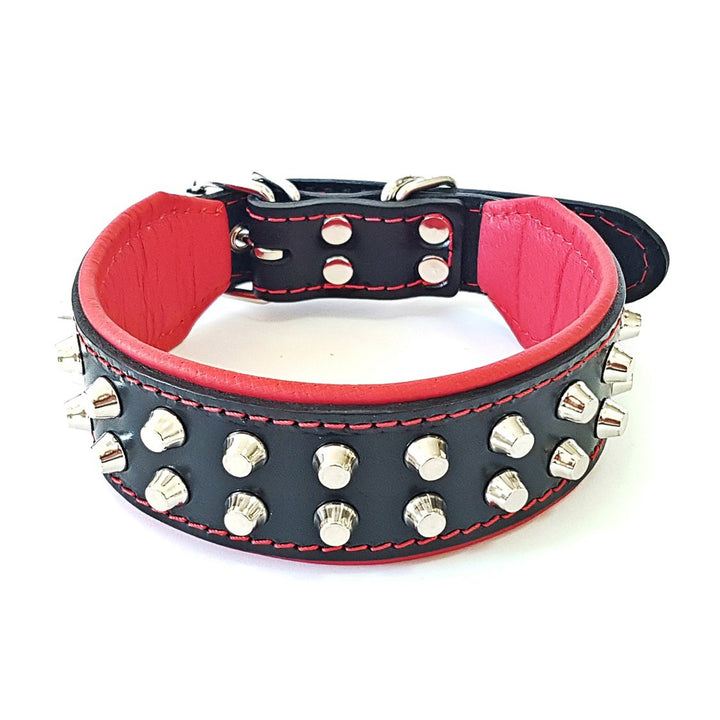 Bestia™ "Rocky Echtleder Hundehalsband mit Stumpfnieten. 100% Leder. Weich gepolstert. TOP Qualität!