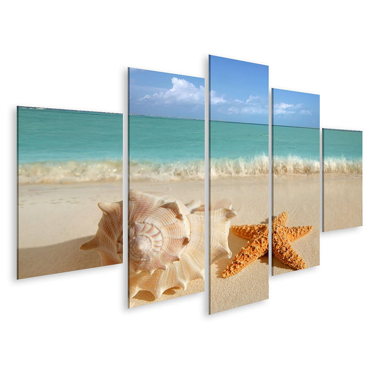 islandburner Bild auf Leinwand Meer Muschel Seestern Im Tropischen Sand Türkisfarbenes Meer Karibik
