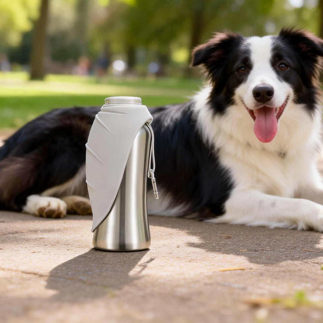 Youyijia 800ml Hunde Trinkflasche Edelstahl – Auslaufsichere Pet Water Bottle mit Faltbarem Napf, BP