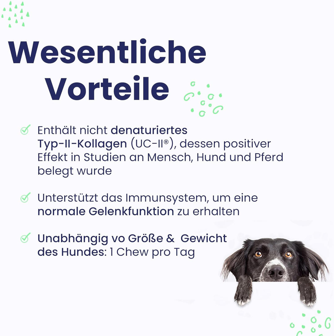 Vetoquinol Flexadin Advanced für Hunde - Doppelpack - 2 x 60 Chews