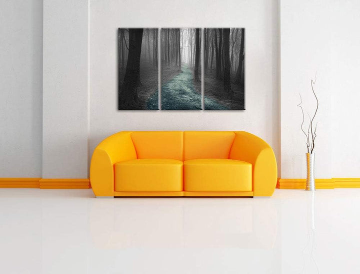 Pixxprint Einsamer Weg im Wald als Leinwandbild | Grösse: 3 Teilig (120x80) | Wandbild| Kunstdruck |